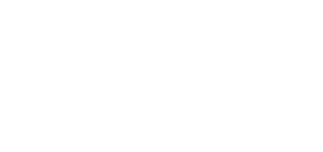 Bless Global Logistics